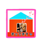 ミニチュアダックスフント  アリー 2（個別スタンプ：6）