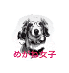 ミニチュアダックスフント  アリー 2（個別スタンプ：13）