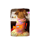 ミニチュアダックスフント  アリー 2（個別スタンプ：14）