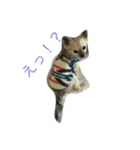 Leonyarow（個別スタンプ：2）