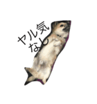 Leonyarow（個別スタンプ：3）