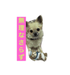 Leonyarow（個別スタンプ：7）