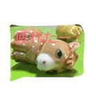 Nanzoya is the life（個別スタンプ：5）