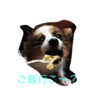 アデルだよ♡（個別スタンプ：4）