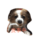 アデルだよ♡（個別スタンプ：5）
