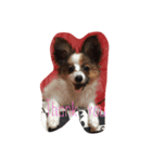 アデルだよ♡（個別スタンプ：6）