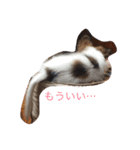 アデルだよ♡（個別スタンプ：9）