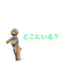toypoodles ~Wonderful Life~（個別スタンプ：6）