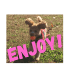 toypoodles ~Wonderful Life~（個別スタンプ：7）