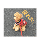 toypoodles ~Wonderful Life~（個別スタンプ：8）