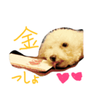 トイプージルとベルのあいさつ（個別スタンプ：4）