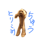 トイプージルとベルのあいさつ（個別スタンプ：5）