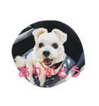 ビッケちゃん（個別スタンプ：1）