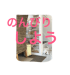 ビッケちゃん（個別スタンプ：5）