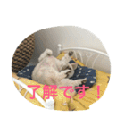 ビッケちゃん（個別スタンプ：6）