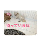 ビッケちゃん（個別スタンプ：9）