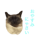 buchimoko（個別スタンプ：6）