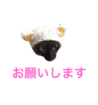 buchimoko（個別スタンプ：8）