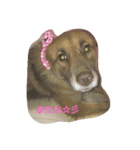 子犬のメルちゃん part2（個別スタンプ：4）