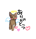 田中家の愛猫こむぎちゃん（個別スタンプ：8）
