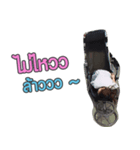 nungjahh（個別スタンプ：7）