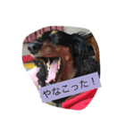 ラブの日々（個別スタンプ：11）