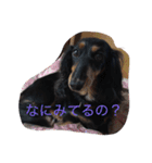ラブの日々（個別スタンプ：15）