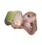 cattttttttt！（個別スタンプ：3）