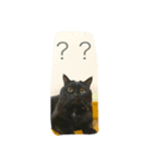 相まめちゃん（個別スタンプ：11）
