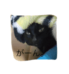 相まめちゃん（個別スタンプ：12）