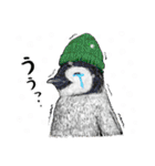 冬のコペンギン 2（個別スタンプ：13）
