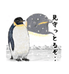 冬のコペンギン 2（個別スタンプ：30）