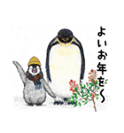 冬のコペンギン 2（個別スタンプ：36）