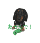 トッティ（個別スタンプ：2）