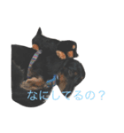 トッティ（個別スタンプ：3）