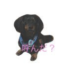 トッティ（個別スタンプ：4）