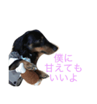 トッティ（個別スタンプ：11）