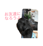 トッティ（個別スタンプ：13）