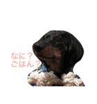 トッティ（個別スタンプ：14）