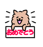 ぽめ氏（個別スタンプ：1）