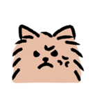 ぽめ氏（個別スタンプ：16）