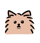 ぽめ氏（個別スタンプ：19）