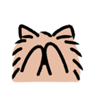 ぽめ氏（個別スタンプ：24）