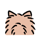 ぽめ氏（個別スタンプ：31）