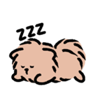 ぽめ氏（個別スタンプ：38）