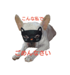 フレブル ぶんたの日常（個別スタンプ：5）