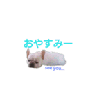 フレブル ぶんたの日常（個別スタンプ：10）