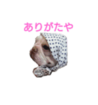 フレブル ぶんたの日常（個別スタンプ：14）