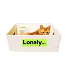 猫のざらめ(1st)（個別スタンプ：3）