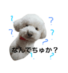 おではピノ。（個別スタンプ：3）